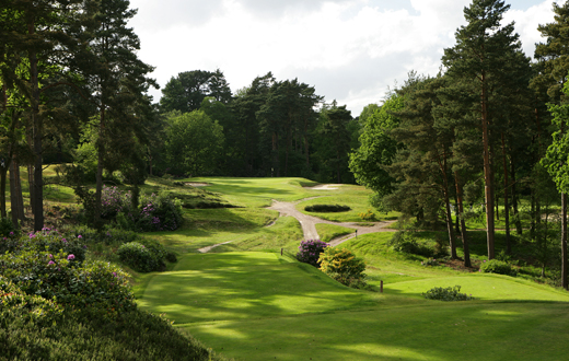 1137c92a-db22-4715-bcbf-87e86de949f6