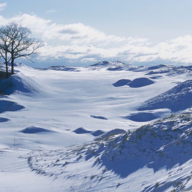 d4b288c0-ce64-4318-a1ec-ddc1b4743db0