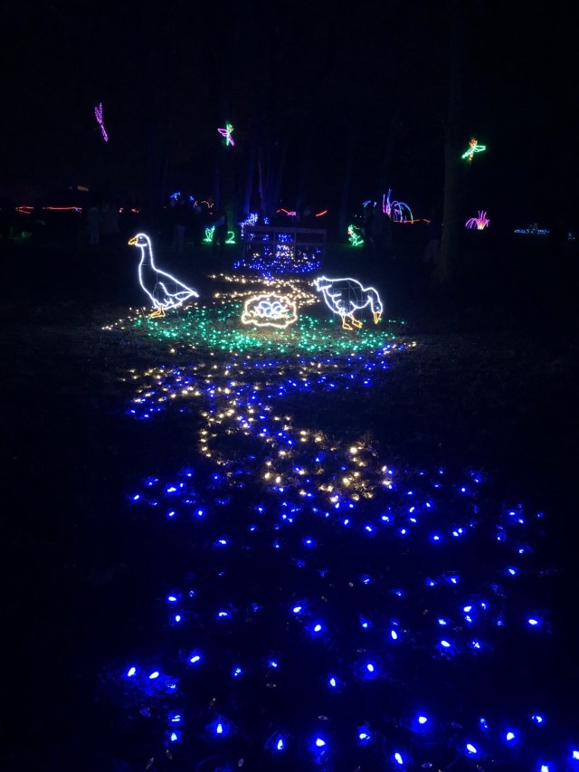 e7ed59c2-418f-4d27-befb-a00ac1245935