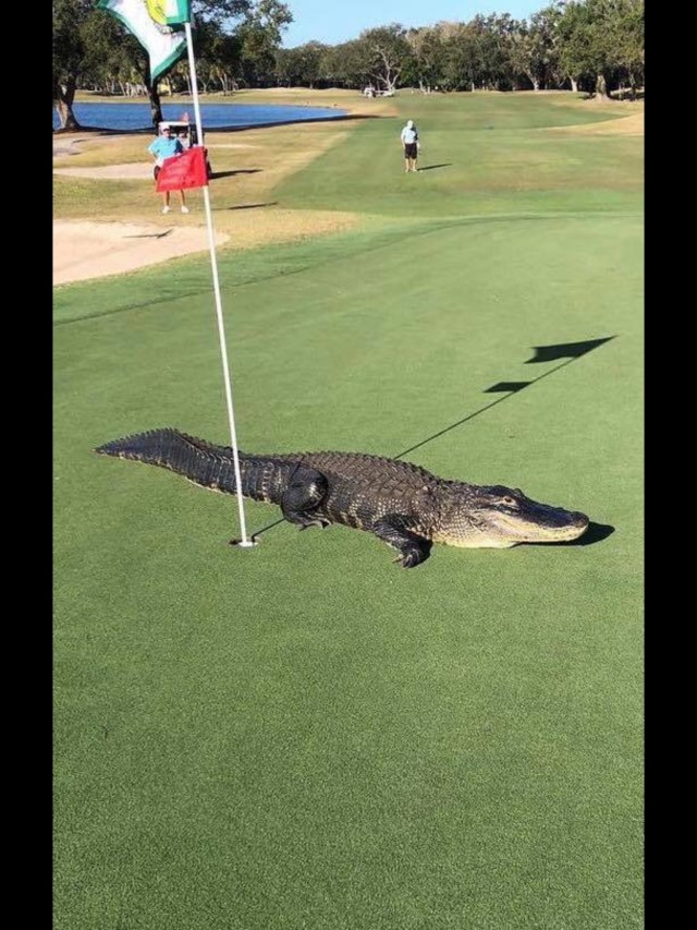 D4981066-2281-43E7-A4DB-4B6937CF9A86