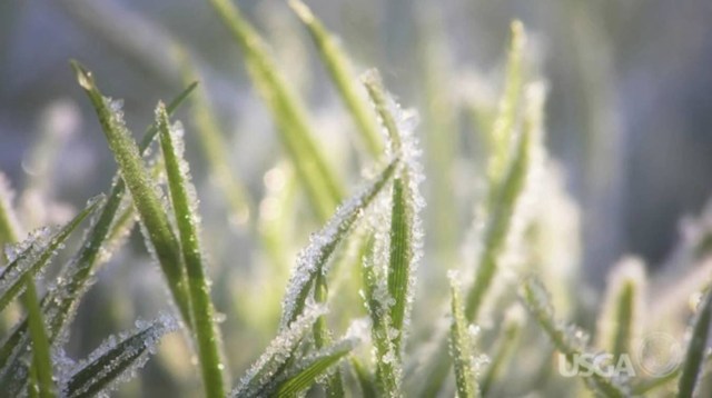 B337CA1D-5C32-4EFF-97BC-FE444FCD81E1