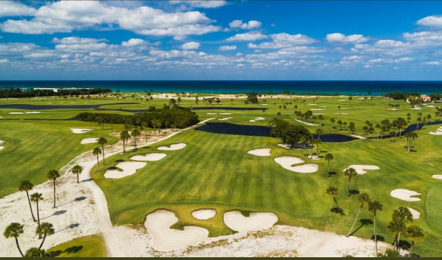 0BD4A266-61CC-459B-9F1E-BBEECE8AE756